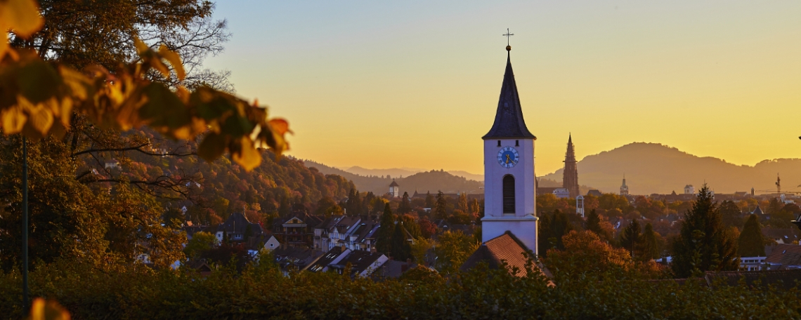 Aushilfskraft als Tierärztin (a) für den Schlachthof, 1. Bild