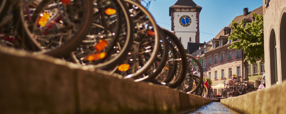 Betreuer*in für die Richard-Mittermaier-Schule, 3. Bild