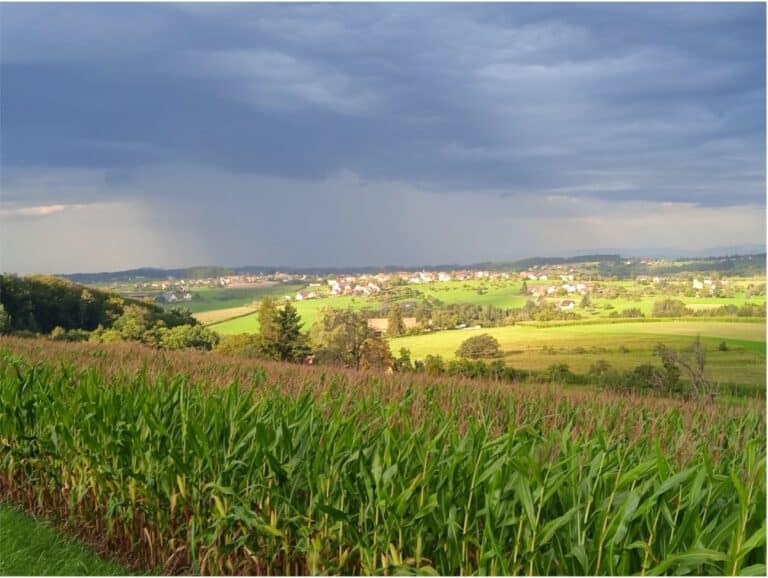 Eine malerische ländliche Landschaft in der Nähe von Freiburg mit einem üppigen Kornfeld im Vordergrund und einem kleinen Dorf inmitten sanfter Hügel unter einem stürmischen Himmel, durch den Sonnenstrahlen durchbrechen.
