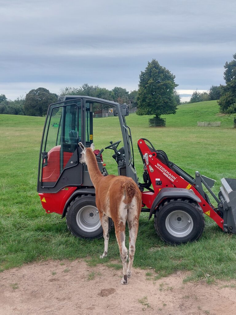 Tierpfleger im Mundenhof