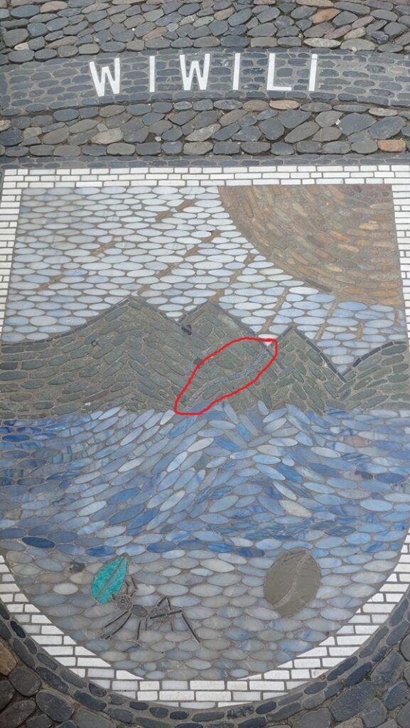 Das Pflaster-Mosaik von Wiwili