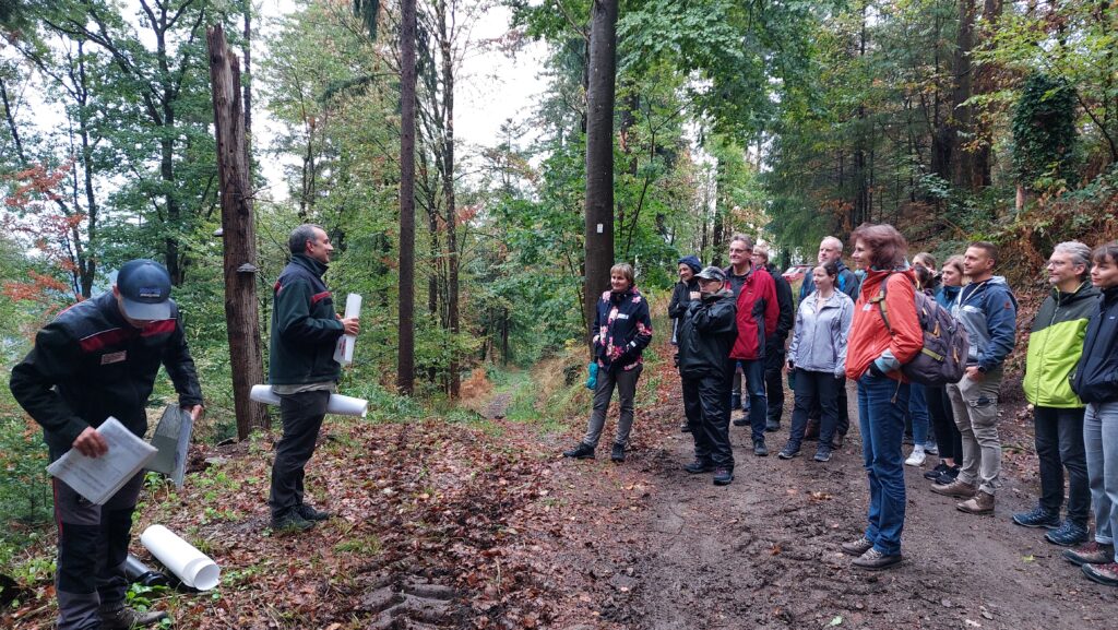 Holzernte im Waldsee Freiburg beim "Türen auf!" Format